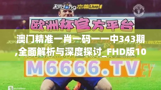 澳門精準一肖一碼一一中343期,全面解析與深度探討_FHD版10.728