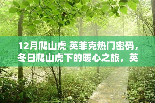 英菲克密碼下的暖心之旅，冬日爬山虎下的溫情故事