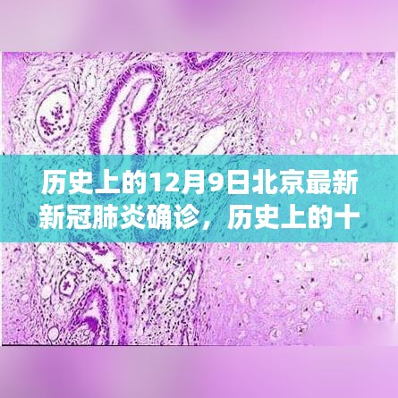 不畏權(quán)貴 第4頁