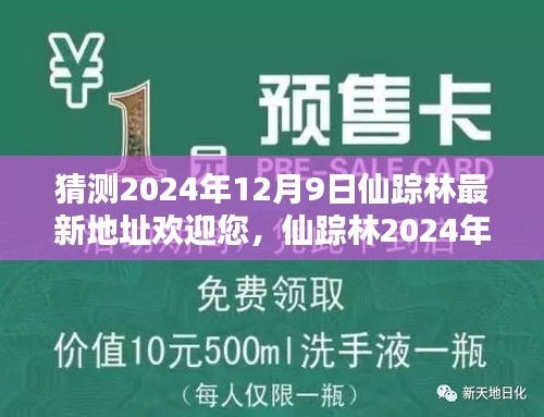 仙蹤林最新體驗地址評測與介紹，探尋2024年12月9日的神秘之地