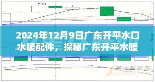 探秘廣東開平水暖配件，小巷深處的獨(dú)特風(fēng)情與隱藏的水暖配件小店紀(jì)實(shí)