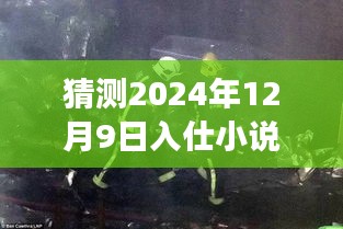 燃燒歲月，逐夢前行，入仕小說新篇章震撼啟示 2024年12月9日最新章節(jié)猜測