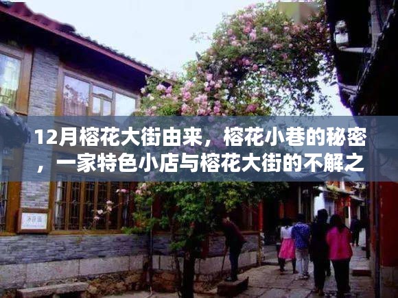 貴人多忘事 第4頁(yè)