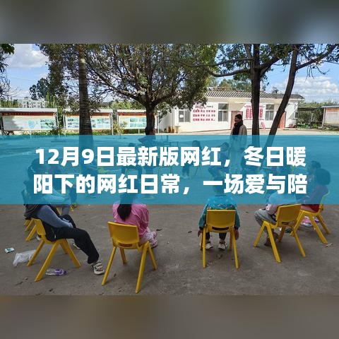 冬日暖陽下的網(wǎng)紅日常，愛與陪伴的溫馨故事新篇章
