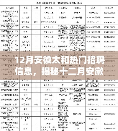 揭秘十二月安徽太和熱門招聘信息，職場人的新選擇