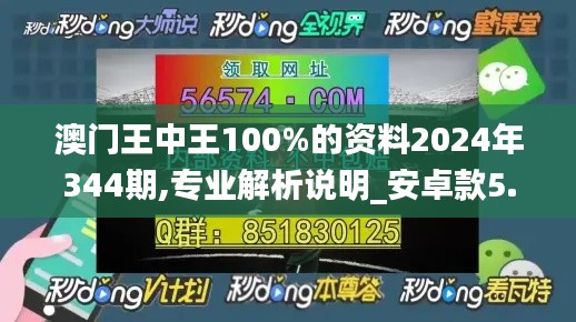 澳門(mén)王中王100%的資料2024年344期,專業(yè)解析說(shuō)明_安卓款5.739
