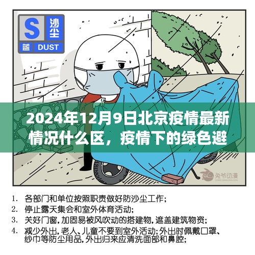 北京疫情最新動態(tài)，綠色避風港中的尋找寧靜之旅