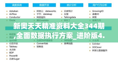 新奧天天精準資料大全344期,全面數(shù)據(jù)執(zhí)行方案_進階版4.317
