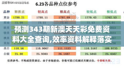 預(yù)測(cè)343期新澳天天彩免費(fèi)資料大全查詢,效率資料解釋落實(shí)_pack3.733