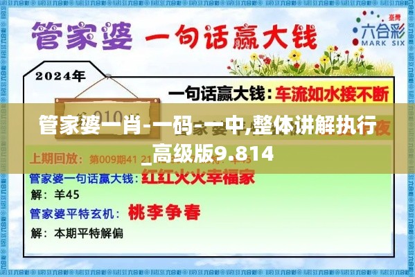 管家婆一肖-一碼-一中,整體講解執(zhí)行_高級版9.814