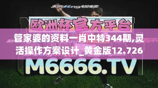 管家婆的資料一肖中特344期,靈活操作方案設(shè)計(jì)_黃金版12.726