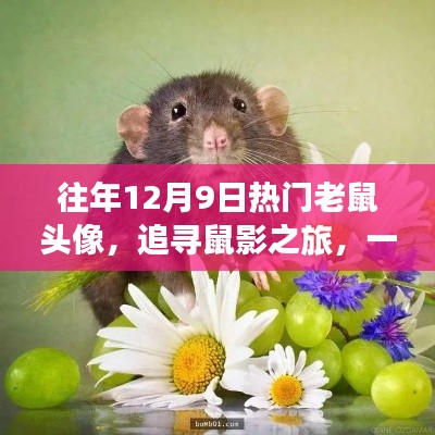 追尋鼠影之旅，與自然美景的邂逅，歷年12月9日熱門老鼠頭像回顧