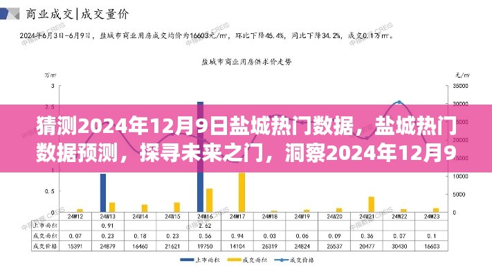 探尋鹽城未來繁華脈絡，熱門數(shù)據(jù)預測報告，洞察2024年鹽城發(fā)展趨勢（鹽城預測報告）