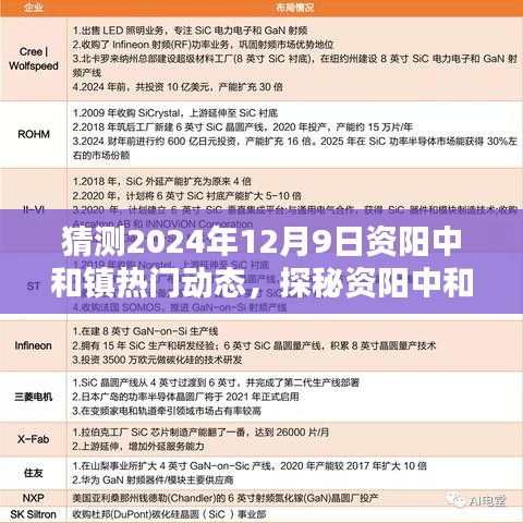 探秘資陽中和鎮(zhèn)，2024年12月9日小巷深處的特色風情與熱門動態(tài)猜測