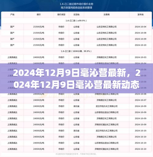 2024年12月9日毫沁營最新動態(tài)，探索未來，預見美好