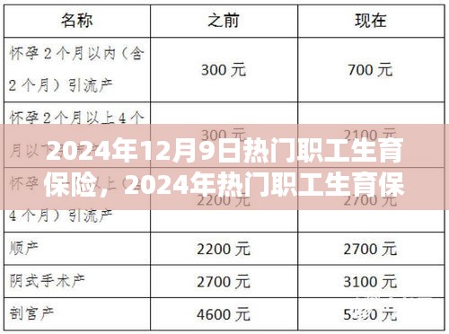 2024年職工生育保險(xiǎn)申請(qǐng)全攻略，入門到精通