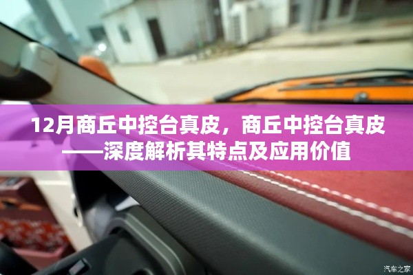 商丘中控臺真皮詳解，特點與應用價值解析