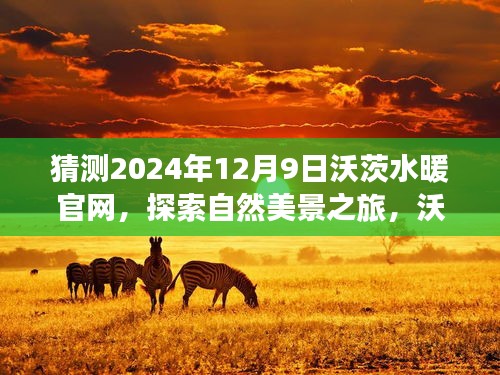 沃茨水暖官網(wǎng)，啟程探索自然美景之旅，探尋內(nèi)心的寧靜平和的未來之旅（2024年12月9日）