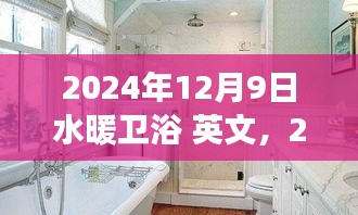 2024年水暖衛(wèi)浴行業(yè)展望，創(chuàng)新與發(fā)展的融合，行業(yè)趨勢(shì)及英文市場(chǎng)分析