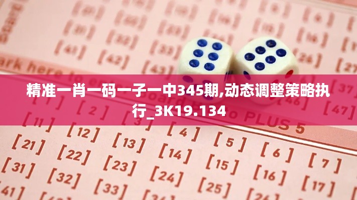 精準(zhǔn)一肖一碼一子一中345期,動(dòng)態(tài)調(diào)整策略執(zhí)行_3K19.134