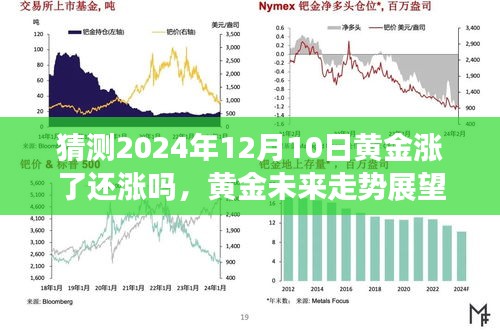 張皇鋪飾 第4頁