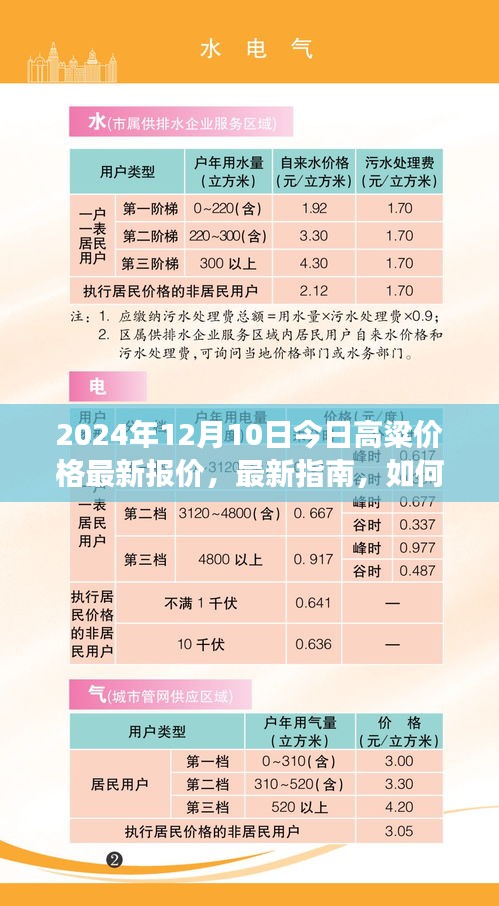 2024年12月10日高粱價格最新動態(tài)及解讀指南