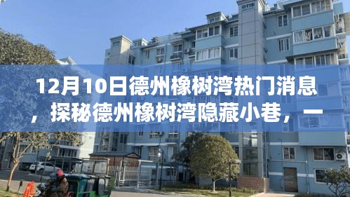 德州橡樹(shù)灣隱藏小巷的特色小店揭秘，獨(dú)家熱門(mén)資訊！