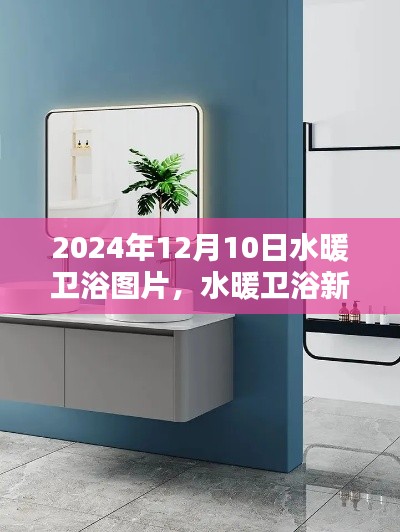 2024年精選水暖衛(wèi)浴圖片大賞，新風(fēng)尚展現(xiàn)時尚魅力