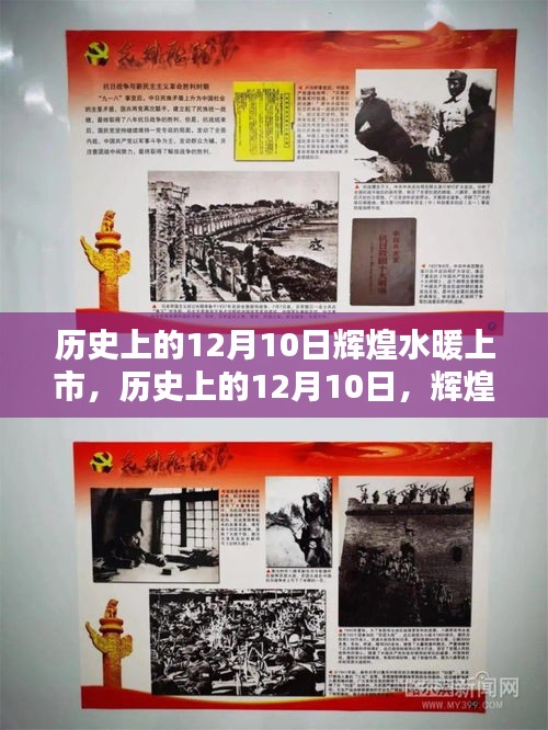 物稀為貴 第3頁