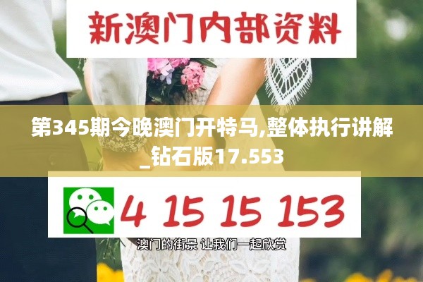 第345期今晚澳門開特馬,整體執(zhí)行講解_鉆石版17.553