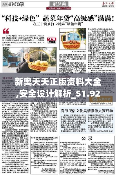 新奧天天正版資料大全,安全設計解析_S1.924