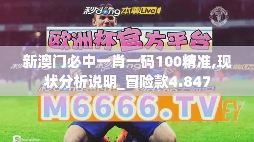 新澳門必中一肖一碼100精準(zhǔn),現(xiàn)狀分析說明_冒險(xiǎn)款4.847