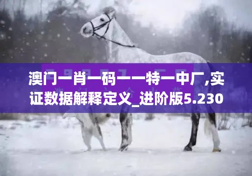 澳門一肖一碼一一特一中廠,實(shí)證數(shù)據(jù)解釋定義_進(jìn)階版5.230