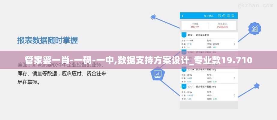 管家婆一肖-一碼-一中,數(shù)據(jù)支持方案設(shè)計_專業(yè)款19.710
