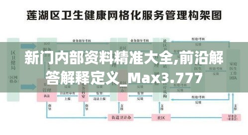 新門內(nèi)部資料精準(zhǔn)大全,前沿解答解釋定義_Max3.777