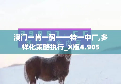 澳門一肖一碼一一特一中廠,多樣化策略執(zhí)行_X版4.905