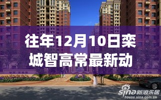 往年12月10日欒城智高常最新動態(tài)，科技與智慧的融合進(jìn)展持續(xù)更新