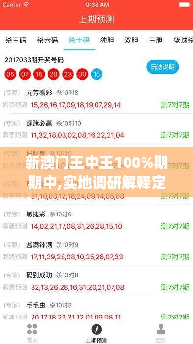 新澳門王中王100%期期中,實地調(diào)研解釋定義_專業(yè)版4.847