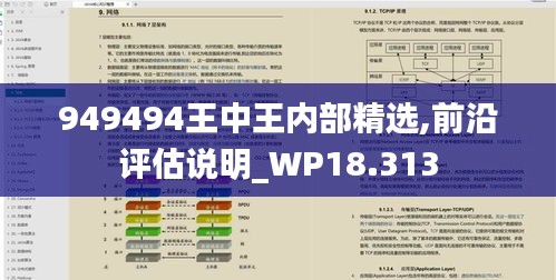 949494王中王內(nèi)部精選,前沿評(píng)估說(shuō)明_WP18.313