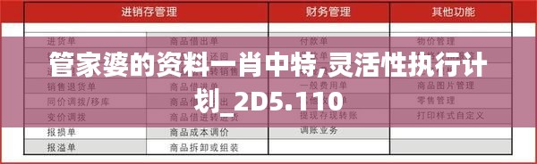 管家婆的資料一肖中特,靈活性執(zhí)行計劃_2D5.110