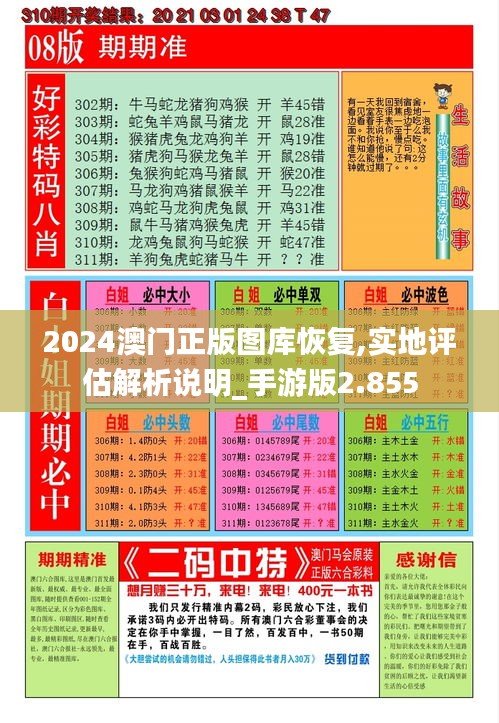 2024澳門正版圖庫恢復,實地評估解析說明_手游版2.855