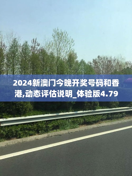 2024新澳門今晚開獎(jiǎng)號(hào)碼和香港,動(dòng)態(tài)評(píng)估說明_體驗(yàn)版4.792