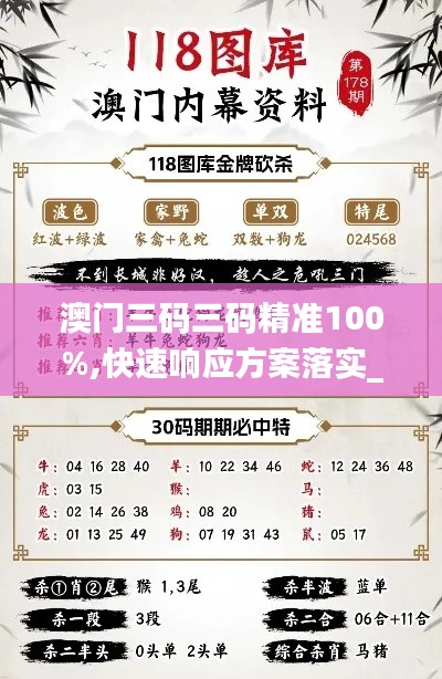 澳門(mén)三碼三碼精準(zhǔn)100%,快速響應(yīng)方案落實(shí)_Ultra6.475