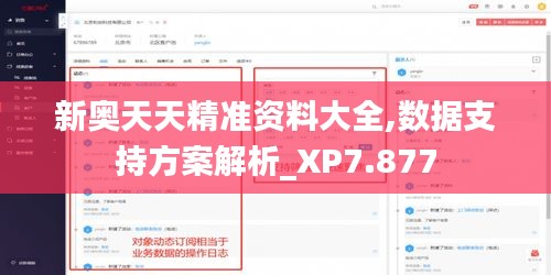 新奧天天精準(zhǔn)資料大全,數(shù)據(jù)支持方案解析_XP7.877