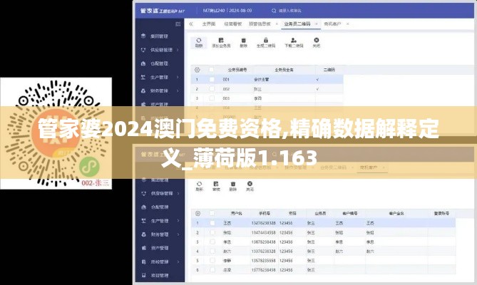 管家婆2024澳門免費(fèi)資格,精確數(shù)據(jù)解釋定義_薄荷版1.163