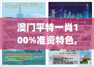 澳門平特一肖100%準資特色,實地數(shù)據(jù)驗證實施_7DM7.676