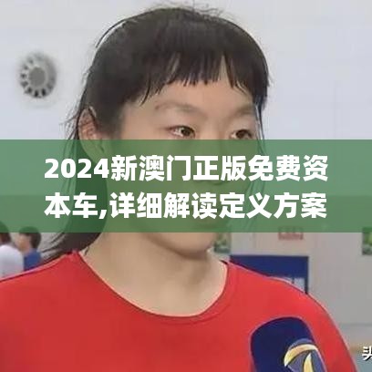 2024新澳門正版免費資本車,詳細解讀定義方案_免費版4.392