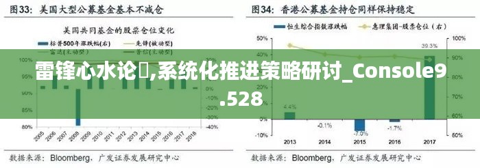 雷鋒心水論枟,系統(tǒng)化推進(jìn)策略研討_Console9.528