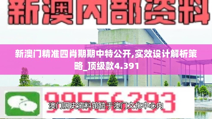 新澳門精準(zhǔn)四肖期期中特公開,實效設(shè)計解析策略_頂級款4.391
