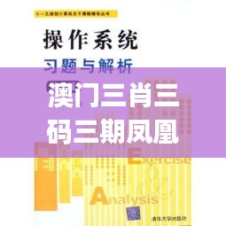澳門(mén)三肖三碼三期鳳凰,適用解析計(jì)劃方案_創(chuàng)新版3.745